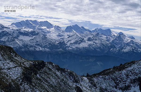Berge am Thunersee  Berner Oberland  Schweiz  Europa