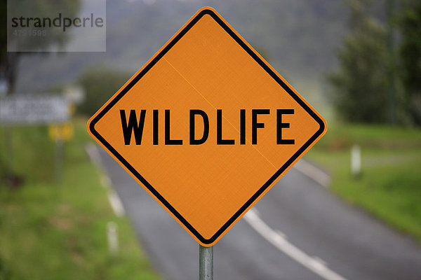 Wildlife  Warnschild am Straßenrand  Australien