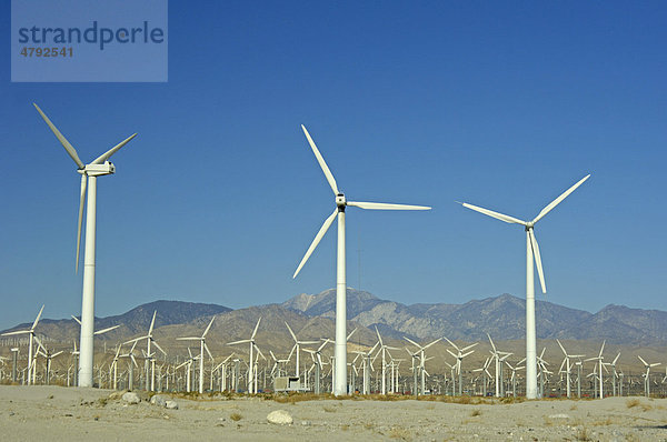 Windkraftanlagen in Windpark in der Wüste  Palm Springs  Coachella Valley  Kalifornien  USA