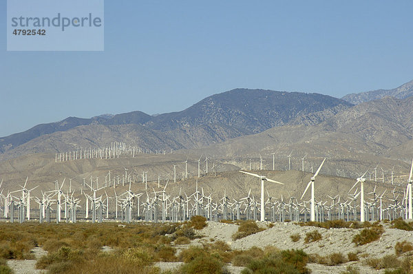 Windkraftanlagen in Windpark in der Wüste  Palm Springs  Coachella Valley  Kalifornien  USA