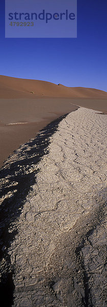 Vertrocknetes Flussbett  Vlei  im Sand am Sossus Vlei  Namibia  Afrika