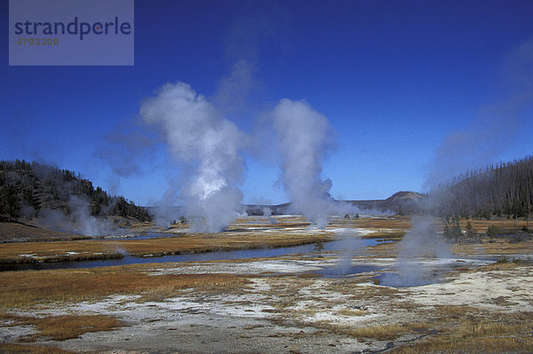 Aufsteigener Fumarole-Dampf durch die Geysir-Aktivität  Firehole River  Yellowstone Nationalpark  Wyoming  USA