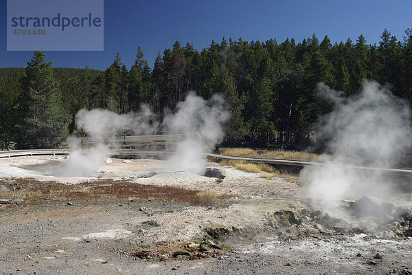 Dampf von Geysiren und heißen Quellen steigen von den Fumarolen auf  Yellowstone-Nationalpark  USA