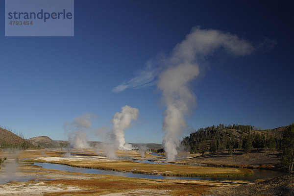 Dampf steigt durch die Geysir-Aktivität auf  Midway Geyser Basin  Yellowstone-Nationalpark  USA