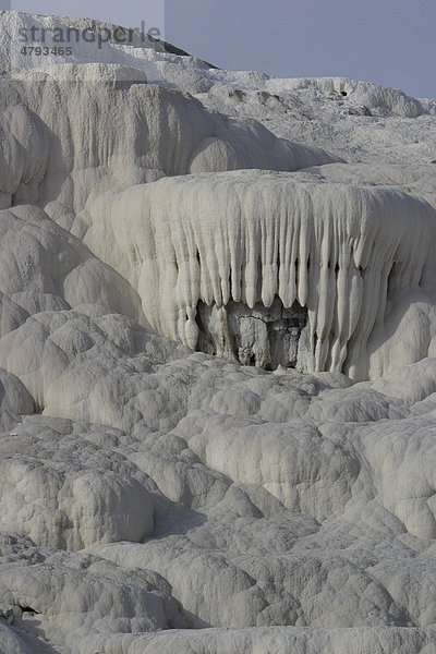 Travertin-Kalksteinablagerungen aus hellem  porösen Kalziumkarbonat entstanden durch den Niederschlag vom Wasser der heißen Quellen  Minerva Spring  Mammoth Hop Springs  Yellowstone-Nationalpark  USA