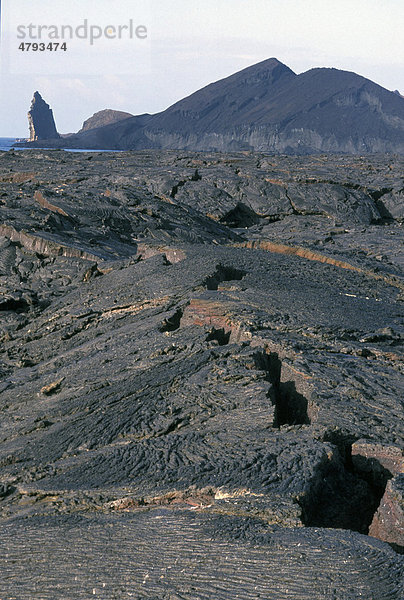 Rissige Pahoehoe-Lava  James Island  Galapagos Inseln  Pazifischer Ozean