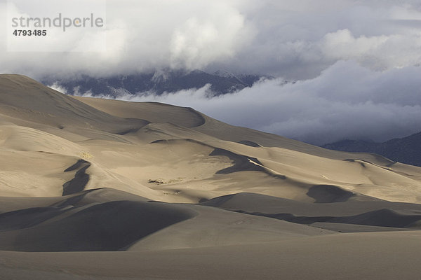 Sanddünen  Great Sand Dunes Nationalpark  Colorado  USA