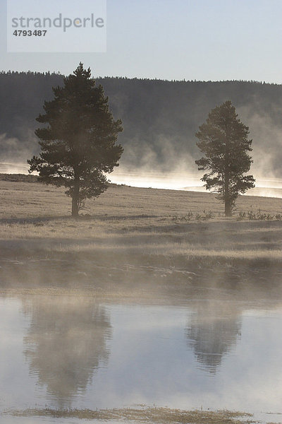Nebel steigt hoch vom Alum Creek  Yellowstone  USA