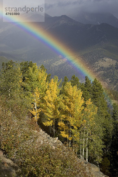 Regenbogen über Pappeln (Populus)  Rocky-Mountain-Nationalpark  Colorado  USA