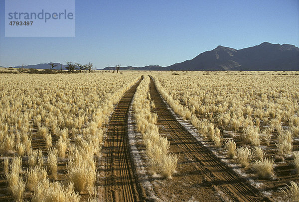 Fahrzeugspuren in einer Wüstenlandschaft  Namib  Namibia  Afrika
