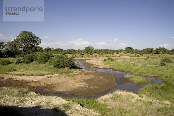 Tarangire Nationalpark  Tarangire Fluss  Tansania  Afrika