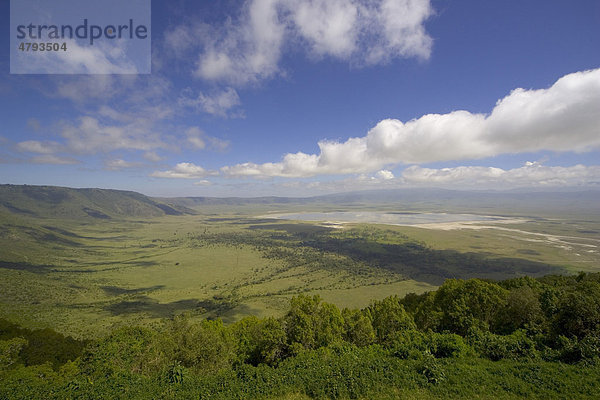 Ngorongoro-Krater  Rand  Tansania  Afrika