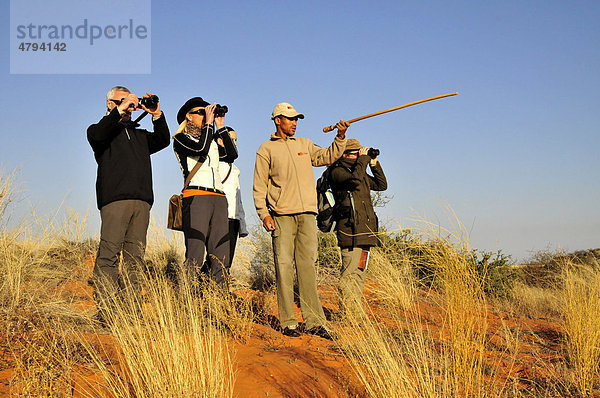 Guides vom Stamm der Khomani-Buschleute  Khomani-San  der !Xaus Lodge erklären Touristen auf einer Fußwanderung die Natur der Kalahari  Kgalagadi Transfrontier Park  Südafrika  Afrika
