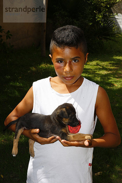 Junge hält einen Welpen auf dem Arm  Fortaleza  Bundesstaat Cear·  Brasilien  Südamerika