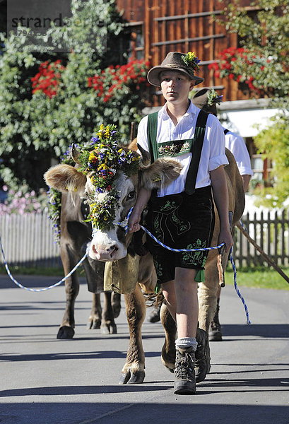 Almabtrieb  Viehscheid in Pfronten  Ostallgäu  Allgäu  Schwaben  Bayern  Deutschland  Europa
