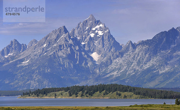 Willow Flats vor Teton Range Bergkette  Mount Moran  Jackson Lake  Grand Teton National Park Nationalpark  Wyoming  Vereinigte Staaten von Amerika  USA