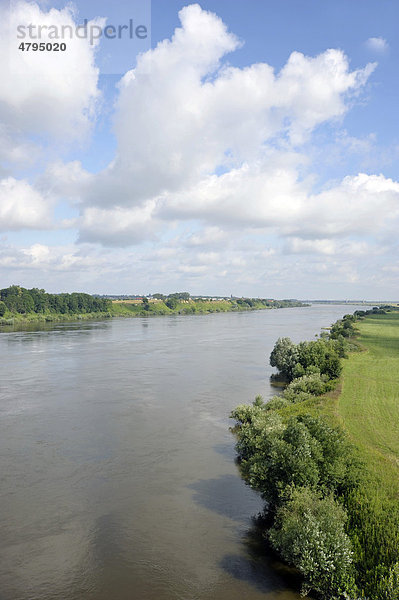 Weichsel  Flusslandschaft nahe Marienburg  Malbork  Masuren  Polen  Europa