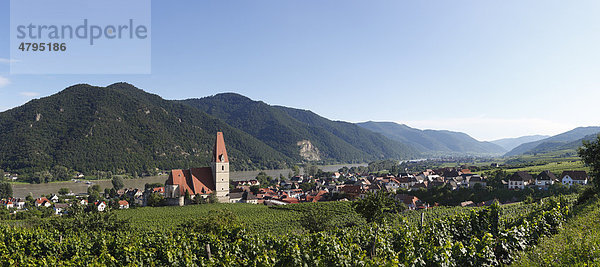 Weißenkirchen in der Wachau  Waldviertel  Niederösterreich  Österreich  Europa