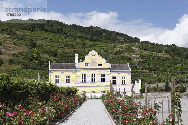 Weinschlössl  Kellerschlössel  Dürnstein  Wachau  Waldviertel  Niederösterreich  Österreich  Europa