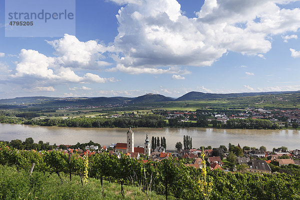 Stein an der Donau  hinten Stift Göttweig  Wachau  Waldviertel  Niederösterreich  Österreich  Europa