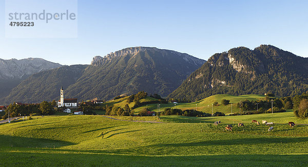 Pfronten  hinten Breitenberg  Tannheimer Berge  Ostallgäu  Allgäu  Schwaben  Bayern  Deutschland  Europa