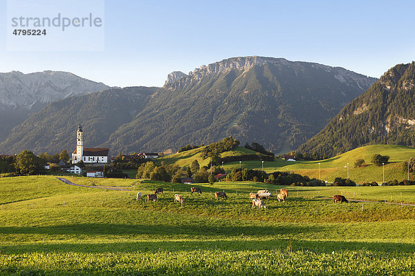 Pfronten  hinten Breitenberg  Tannheimer Berge  Ostallgäu  Allgäu  Schwaben  Bayern  Deutschland  Europa