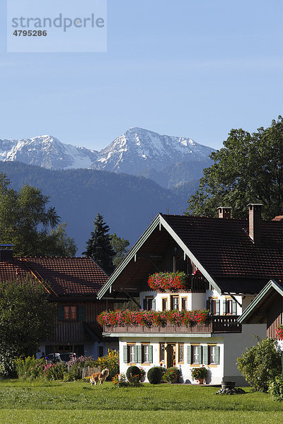 Haus in Lenggries-Anger  hinten Karwendelgebirge mit Demeljoch  Isarwinkel  Oberbayern  Bayern  Deutschland  Europa