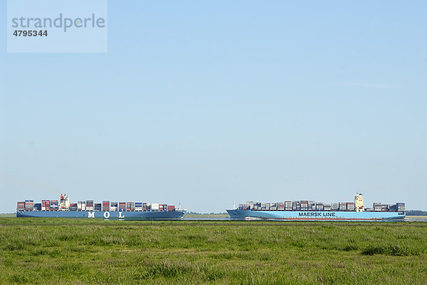 Begegnung zweier Containerschiffe auf der Unterelbe  Schleswig-Holstein  Deutschland  Europa