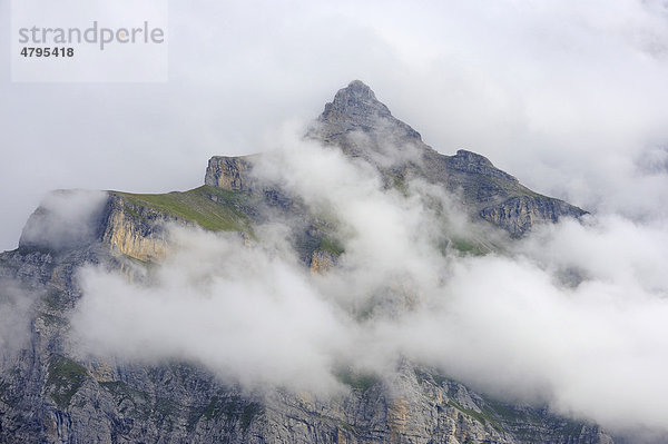 Der 2649 Meter hohe Schwarzmönch in den Berner Alpen ragt aus den Wolken  Kanton Bern  Schweiz  Europa