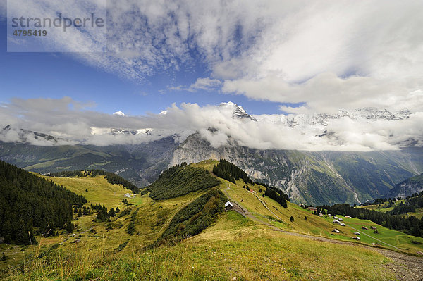Blick hinab zum Allmendhubel  unterhalb des Schilthorns zu den wolkenverhangenen Berner Alpen  Kanton Bern  Schweiz  Europa