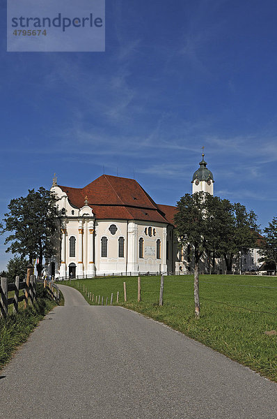 Wieskirche mit blauem Himmel vorne ein Fahrweg  Wies 12  Steingaden  Oberbayern  Bayern  Deutschland  Europa
