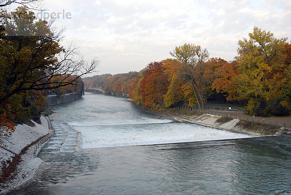 Isar Fluss  Herbst in München  Oberbayern  Bayern  Deutschland  Europa