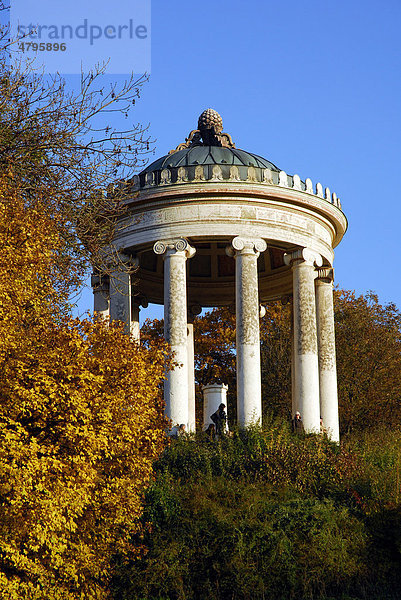Monopteros Tempel  Englischer Garten im Herbst  München  Oberbayern  Bayern  Deutschland  Europa