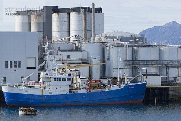 Transportschiff im Industriehafen von Bodo  Norwegen  Skandinavien  Europa