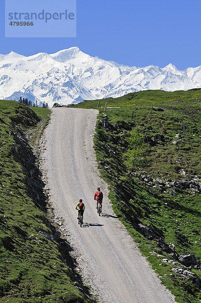 Mountainbiker auf dem Eggenalmkogel  hinten die Hohen Tauern  Reit im Winkl  Bayern  Deutschland  Tirol  Österreich  Europa