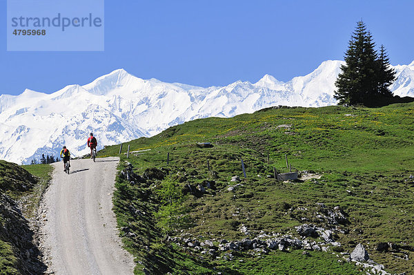 Mountainbiker auf dem Eggenalmkogel  hinten die Hohen Tauern  Reit im Winkl  Bayern  Deutschland  Tirol  Österreich  Europa