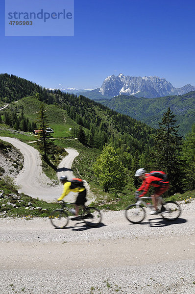 Mountainbiker  Abfahrt zur Kreuzangeralm  hinten der Wilde Kaiser  in Tirol  Österreich  Reit im Winkl  Bayern  Deutschland  Europa