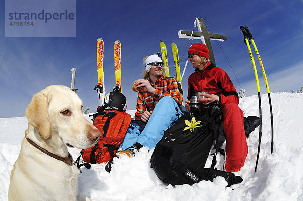 Skifahrer und Hund auf Skitour auf das Dürrnbachhorn  Reit im Winkl  Chiemgau  Oberbayern  Deutschland  Europa