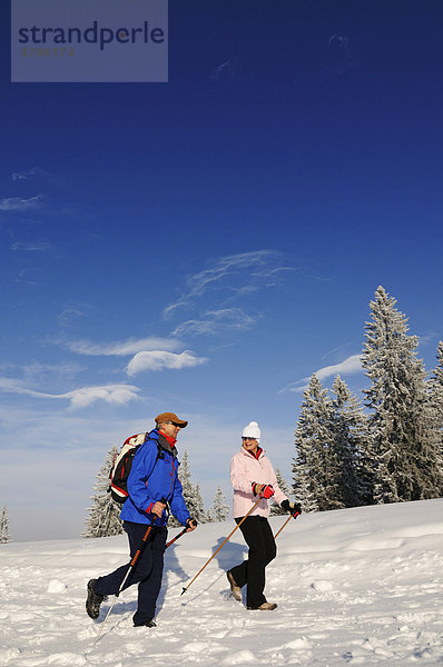 Wanderer  Wanderer  Winterwanderung auf dem ersten Premium-Winterwanderweg Deutschlands  Hemmersuppenalm  Reit im Winkl  Bayern  Deutschland  Europa