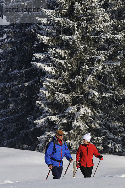 Wanderer  Winterwanderung auf dem ersten Premium-Winterwanderweg Deutschlands  Hemmersuppenalm  Reit im Winkl  Bayern  Deutschland  Europa