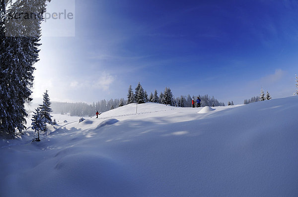 Wanderer bei Winterwanderung auf dem ersten Premium-Winterwanderweg Deutschlands  Hemmersuppenalm  Reit im Winkl  Bayern  Deutschland  Europa