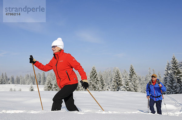 Wanderer bei Winterwanderung auf dem ersten Premium-Winterwanderweg Deutschlands  Hemmersuppenalm  Reit im Winkl  Bayern  Deutschland  Europa