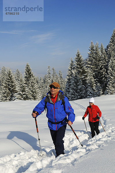 Wanderer bei Winterwanderung auf dem ersten Premium-Winterwanderweg Deutschlands  Hemmersuppenalm  Reit im Winkl  Bayern  Deutschland  Europa