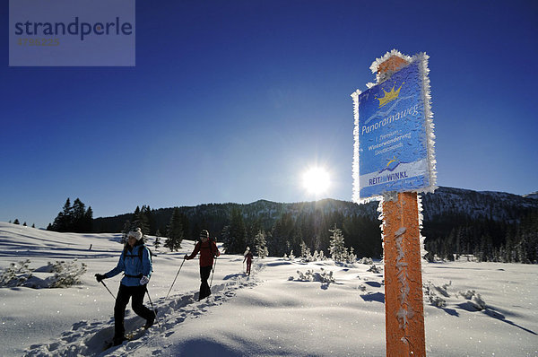 Schneeschuhwanderer  erster Premium-Winterwanderweg Deutschlands  Hemmersuppenalm  Reit im Winkl  Bayern  Deutschland  Europa