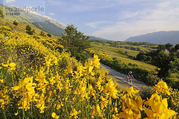 Rennradfahrer vor dem Monte Amaro  Caramanico Terme  San Eufemia a Maiella  Maiella-Nationalpark  Abruzzen  Italien  Europa