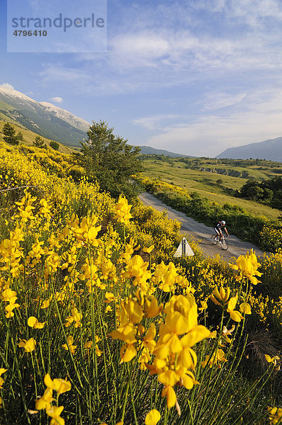 Rennradfahrer vor dem Monte Amaro  Caramanico Terme  San Eufemia a Maiella  Maiella-Nationalpark  Abruzzen  Italien  Europa