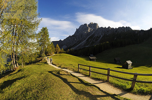 Mountainbiker auf der Rotwand  Sexten  Hochpustertal  Südtirol  Dolomiten  Italien  Europa