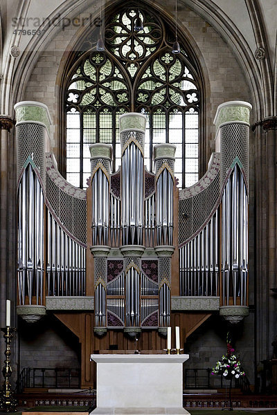 Die Orgel im Dom von Münster  Nordrhein-Westfalen  Deutschland  Europa