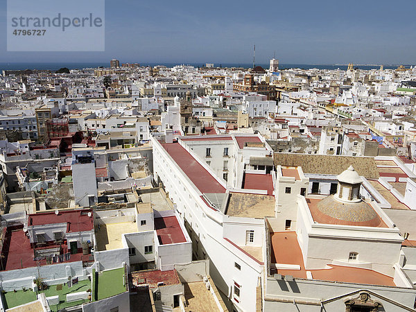 Altstadt von Cadiz  Andalusien  Spanien  Europa