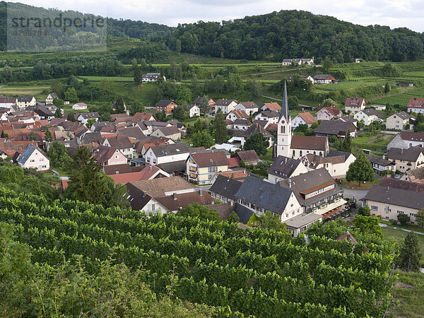 Das Weindorf Bickensohl  Stadt Vogtsburg im Kaiserstuhl  Region Breisgau  Baden-Württemberg  Süddeutschland  Deutschland  Europa